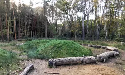 Bordon Inclosure: tree trunks laid down in a Ring with a mound of grass in the middle